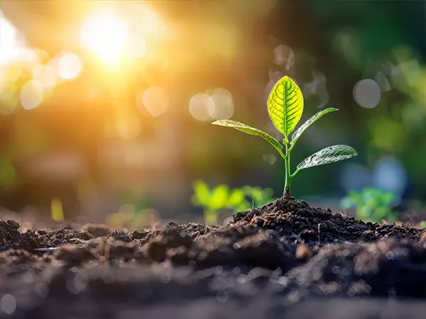 card-bewuste-catering-duurzaamheid